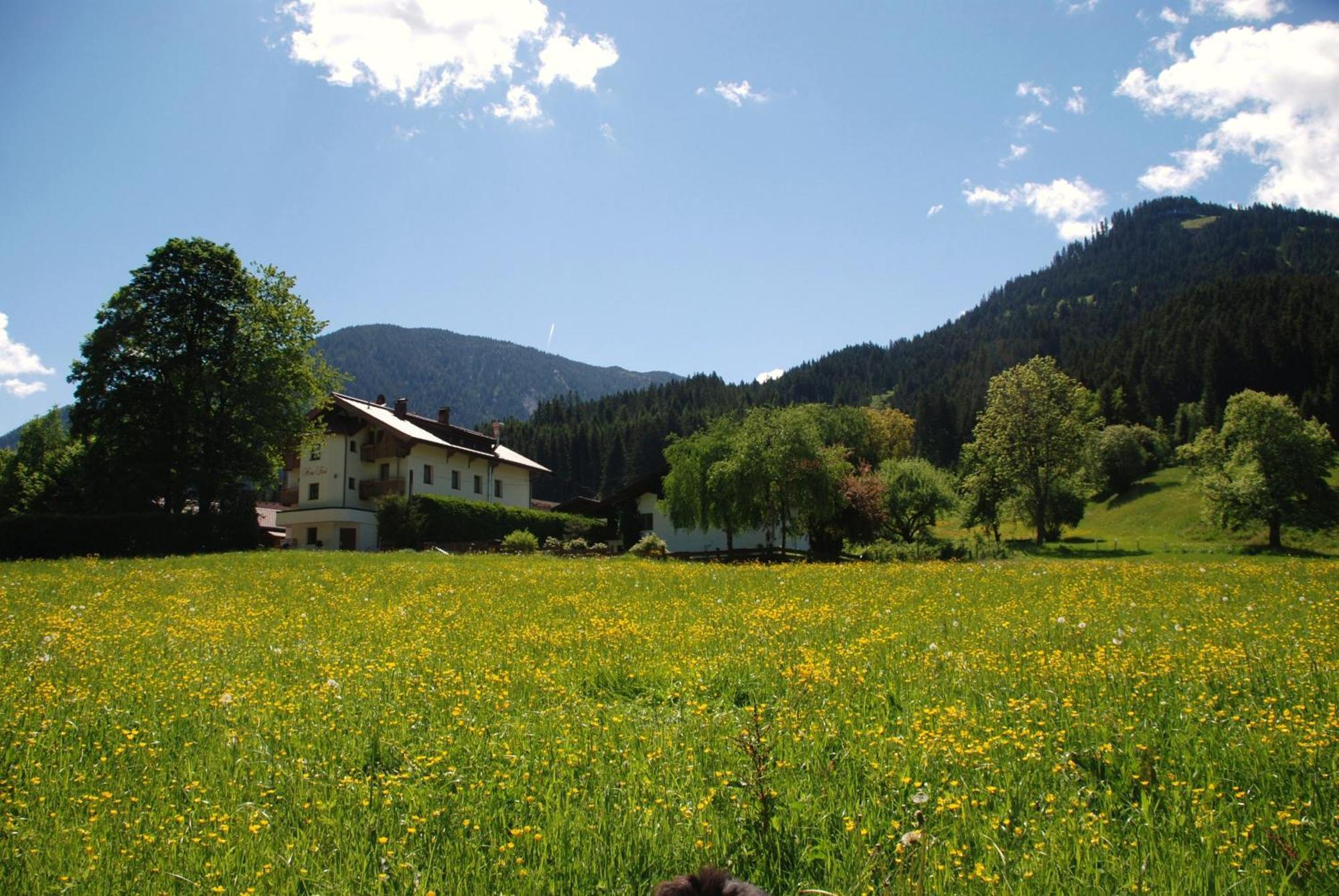 Haus Tirol Ξενοδοχείο Brixen im Thale Εξωτερικό φωτογραφία